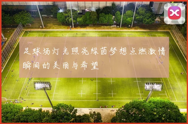 足球场灯光照亮绿茵梦想点燃激情瞬间的美丽与希望